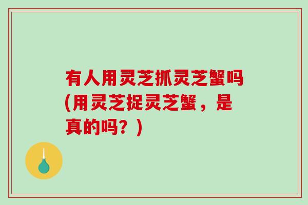 有人用灵芝抓灵芝蟹吗(用灵芝捉灵芝蟹,是真的吗?)-第1张图片-破壁灵芝孢子粉研究指南 有人用灵芝抓灵芝蟹吗(用灵芝捉灵芝蟹,是真的吗?)-第1张图片-破壁灵芝孢子粉研究指南