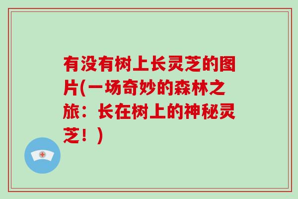 有没有树上长灵芝的图片(一场奇妙的森林之旅:长在树上的神秘灵芝!)-第1张图片-破壁灵芝孢子粉研究指南 有没有树上长灵芝的图片(一场奇妙的森林之旅:长在树上的神秘灵芝!)-第1张图片-破壁灵芝孢子粉研究指南