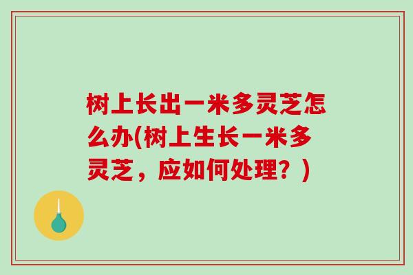 树上长出一米多灵芝怎么办(树上生长一米多灵芝,应如何处理?)-第1张图片-破壁灵芝孢子粉研究指南 树上长出一米多灵芝怎么办(树上生长一米多灵芝,应如何处理?)-第1张图片-破壁灵芝孢子粉研究指南