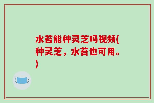 水苔能种灵芝吗视频(种灵芝,水苔也可用。)-第1张图片-破壁灵芝孢子粉研究指南 水苔能种灵芝吗视频(种灵芝,水苔也可用。)-第1张图片-破壁灵芝孢子粉研究指南