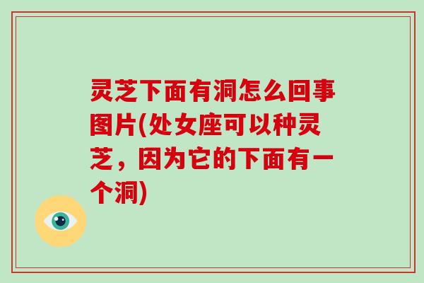 灵芝下面有洞怎么回事图片(处女座可以种灵芝,因为它的下面有一个洞)-第1张图片-破壁灵芝孢子粉研究指南 灵芝下面有洞怎么回事图片(处女座可以种灵芝,因为它的下面有一个洞)-第1张图片-破壁灵芝孢子粉研究指南