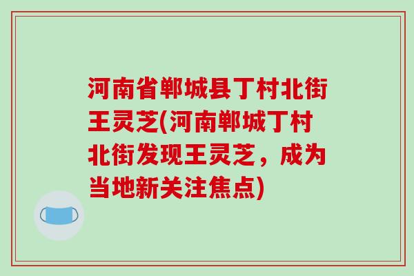 河南省郸城县丁村北街王灵芝(河南郸城丁村北街发现王灵芝,成为当地新关注焦点)-第1张图片-破壁灵芝孢子粉研究指南 河南省郸城县丁村北街王灵芝(河南郸城丁村北街发现王灵芝,成为当地新关注焦点)-第1张图片-破壁灵芝孢子粉研究指南
