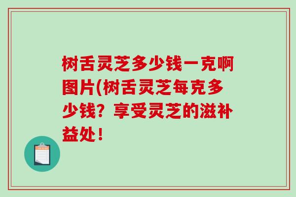 树舌灵芝多少钱一克啊图片(树舌灵芝每克多少钱?享受灵芝的滋补益处!-第1张图片-破壁灵芝孢子粉研究指南 树舌灵芝多少钱一克啊图片(树舌灵芝每克多少钱?享受灵芝的滋补益处!-第1张图片-破壁灵芝孢子粉研究指南