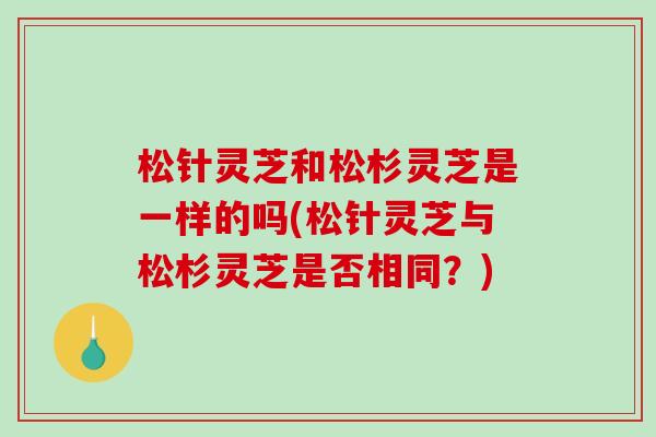 松针灵芝和松杉灵芝是一样的吗(松针灵芝与松杉灵芝是否相同?)-第1张图片-破壁灵芝孢子粉研究指南 松针灵芝和松杉灵芝是一样的吗(松针灵芝与松杉灵芝是否相同?)-第1张图片-破壁灵芝孢子粉研究指南