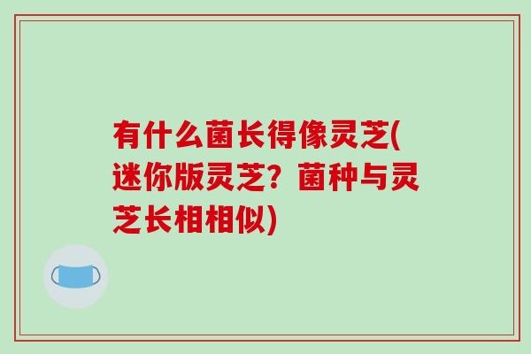 有什么菌长得像灵芝(迷你版灵芝?菌种与灵芝长相相似)-第1张图片-破壁灵芝孢子粉研究指南 有什么菌长得像灵芝(迷你版灵芝?菌种与灵芝长相相似)-第1张图片-破壁灵芝孢子粉研究指南