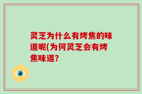 灵芝为什么有烤焦的味道呢(为何灵芝会有烤焦味道?-第1张图片-破壁灵芝孢子粉研究指南 灵芝为什么有烤焦的味道呢(为何灵芝会有烤焦味道?-第1张图片-破壁灵芝孢子粉研究指南