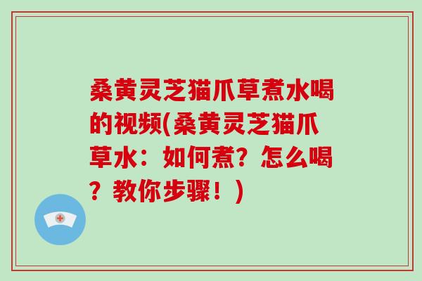 桑黄灵芝猫爪草煮水喝的视频(桑黄灵芝猫爪草水:如何煮?怎么喝?教你步骤!)-第1张图片-破壁灵芝孢子粉研究指南 桑黄灵芝猫爪草煮水喝的视频(桑黄灵芝猫爪草水:如何煮?怎么喝?教你步骤!)-第1张图片-破壁灵芝孢子粉研究指南