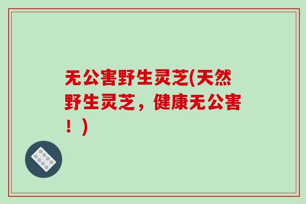 无公害野生灵芝(天然野生灵芝,健康无公害!)-第1张图片-破壁灵芝孢子粉研究指南 无公害野生灵芝(天然野生灵芝,健康无公害!)-第1张图片-破壁灵芝孢子粉研究指南