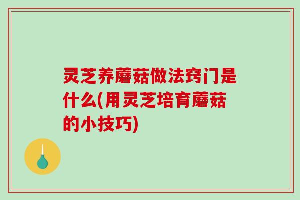 灵芝养蘑菇做法窍门是什么(用灵芝培育蘑菇的小技巧)-第1张图片-破壁灵芝孢子粉研究指南