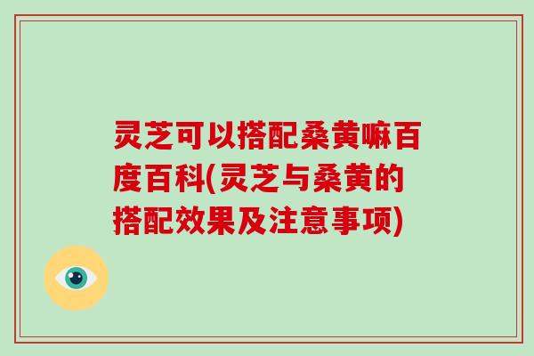 灵芝可以搭配桑黄嘛百度百科(灵芝与桑黄的搭配效果及注意事项)-第1张图片-破壁灵芝孢子粉研究指南 灵芝可以搭配桑黄嘛百度百科(灵芝与桑黄的搭配效果及注意事项)-第1张图片-破壁灵芝孢子粉研究指南