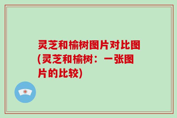 灵芝和榆树图片对比图(灵芝和榆树：一张图片的比较)-第1张图片-破壁灵芝孢子粉研究指南