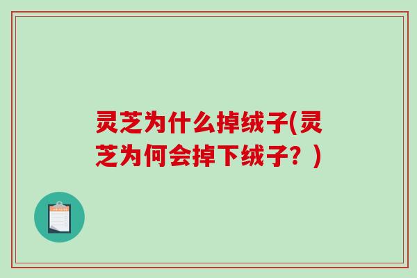 灵芝为什么掉绒子(灵芝为何会掉下绒子?)-第1张图片-破壁灵芝孢子粉研究指南 灵芝为什么掉绒子(灵芝为何会掉下绒子?)-第1张图片-破壁灵芝孢子粉研究指南