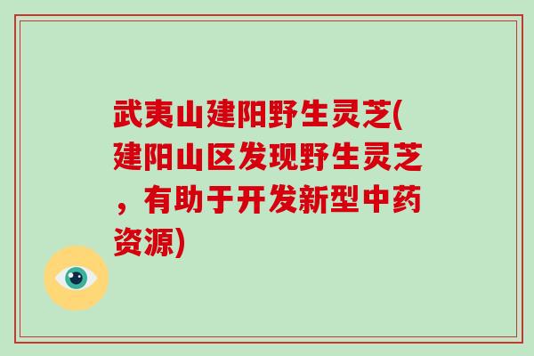 武夷山建阳野生灵芝(建阳山区发现野生灵芝,有助于开发新型中药资源)-第1张图片-破壁灵芝孢子粉研究指南 武夷山建阳野生灵芝(建阳山区发现野生灵芝,有助于开发新型中药资源)-第1张图片-破壁灵芝孢子粉研究指南