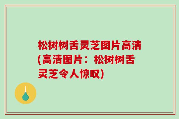 松树树舌灵芝图片高清(高清图片：松树树舌灵芝令人惊叹)-第1张图片-破壁灵芝孢子粉研究指南