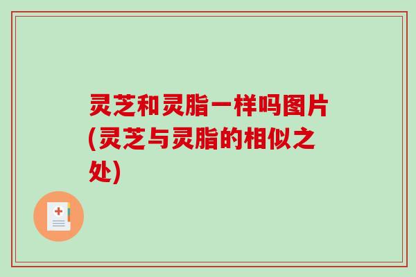 灵芝和灵脂一样吗图片(灵芝与灵脂的相似之处)-第1张图片-破壁灵芝孢子粉研究指南 灵芝和灵脂一样吗图片(灵芝与灵脂的相似之处)-第1张图片-破壁灵芝孢子粉研究指南
