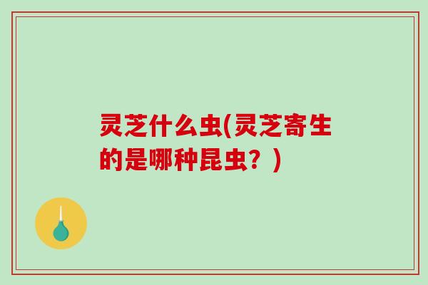 灵芝什么虫(灵芝寄生的是哪种昆虫?)-第1张图片-破壁灵芝孢子粉研究指南 灵芝什么虫(灵芝寄生的是哪种昆虫?)-第1张图片-破壁灵芝孢子粉研究指南