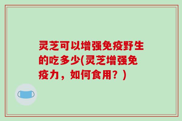 灵芝可以增强免疫野生的吃多少(灵芝增强免疫力,如何食用?)-第1张图片-破壁灵芝孢子粉研究指南 灵芝可以增强免疫野生的吃多少(灵芝增强免疫力,如何食用?)-第1张图片-破壁灵芝孢子粉研究指南