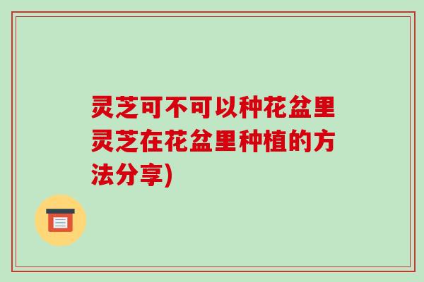 灵芝可不可以种花盆里灵芝在花盆里种植的方法分享)-第1张图片-破壁灵芝孢子粉研究指南 灵芝可不可以种花盆里灵芝在花盆里种植的方法分享)-第1张图片-破壁灵芝孢子粉研究指南