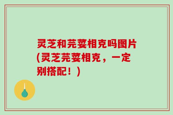 灵芝和芫荽相克吗图片(灵芝芫荽相克,一定别搭配!)-第1张图片-破壁灵芝孢子粉研究指南 灵芝和芫荽相克吗图片(灵芝芫荽相克,一定别搭配!)-第1张图片-破壁灵芝孢子粉研究指南