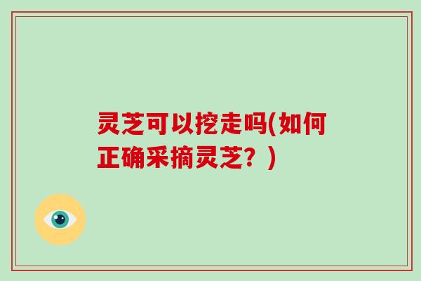 灵芝可以挖走吗(如何正确采摘灵芝?)-第1张图片-破壁灵芝孢子粉研究指南 灵芝可以挖走吗(如何正确采摘灵芝?)-第1张图片-破壁灵芝孢子粉研究指南