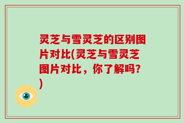 灵芝与雪灵芝的区别图片对比(灵芝与雪灵芝图片对比，你了解吗？)-第1张图片-破壁灵芝孢子粉研究指南