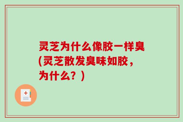 灵芝为什么像胶一样臭(灵芝散发臭味如胶,为什么?)-第1张图片-破壁灵芝孢子粉研究指南 灵芝为什么像胶一样臭(灵芝散发臭味如胶,为什么?)-第1张图片-破壁灵芝孢子粉研究指南