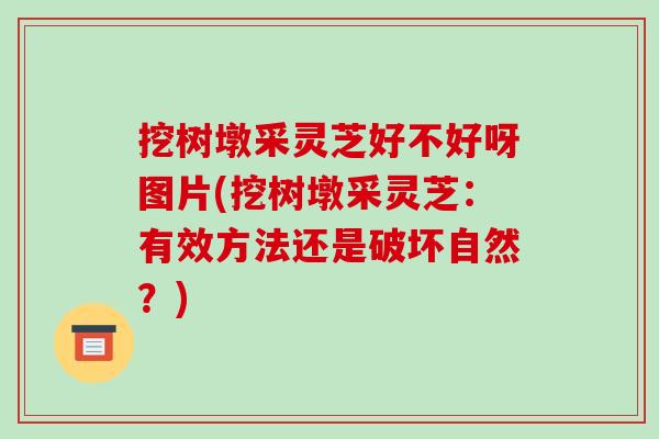 挖树墩采灵芝好不好呀图片(挖树墩采灵芝:有效方法还是破坏自然?)-第1张图片-破壁灵芝孢子粉研究指南 挖树墩采灵芝好不好呀图片(挖树墩采灵芝:有效方法还是破坏自然?)-第1张图片-破壁灵芝孢子粉研究指南