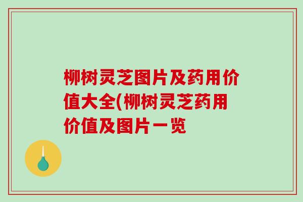 柳树灵芝图片及药用价值大全(柳树灵芝药用价值及图片一览-第1张图片-破壁灵芝孢子粉研究指南