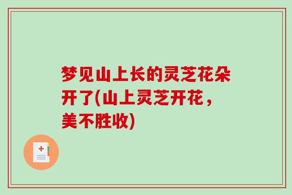 梦见山上长的灵芝花朵开了(山上灵芝开花,美不胜收)-第1张图片-破壁灵芝孢子粉研究指南 梦见山上长的灵芝花朵开了(山上灵芝开花,美不胜收)-第1张图片-破壁灵芝孢子粉研究指南