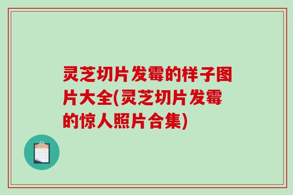 灵芝切片发霉的样子图片大全(灵芝切片发霉的惊人照片合集)-第1张图片-破壁灵芝孢子粉研究指南 灵芝切片发霉的样子图片大全(灵芝切片发霉的惊人照片合集)-第1张图片-破壁灵芝孢子粉研究指南