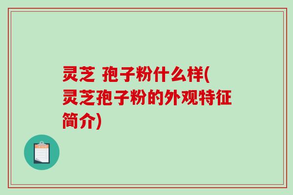 灵芝 孢子粉什么样(灵芝孢子粉的外观特征简介)-第1张图片-破壁灵芝孢子粉研究指南 灵芝 孢子粉什么样(灵芝孢子粉的外观特征简介)-第1张图片-破壁灵芝孢子粉研究指南