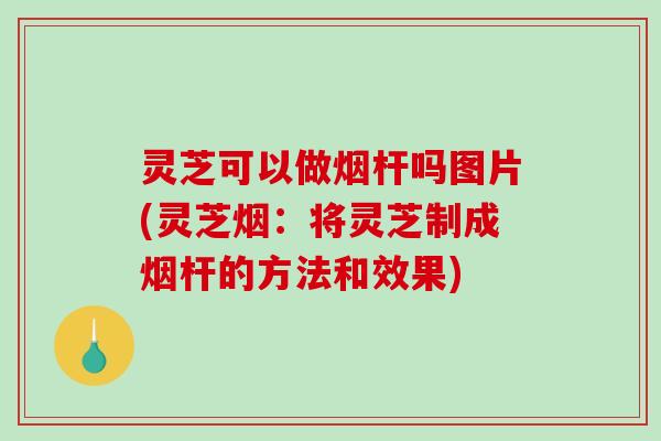 灵芝可以做烟杆吗图片(灵芝烟:将灵芝制成烟杆的方法和效果)-第1张图片-破壁灵芝孢子粉研究指南 灵芝可以做烟杆吗图片(灵芝烟:将灵芝制成烟杆的方法和效果)-第1张图片-破壁灵芝孢子粉研究指南