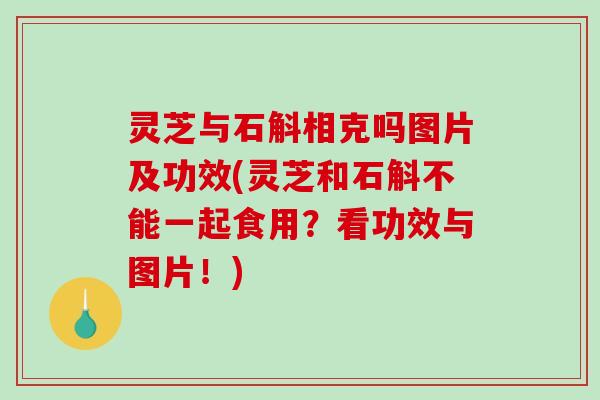 灵芝与石斛相克吗图片及功效(灵芝和石斛不能一起食用？看功效与图片！)-第1张图片-破壁灵芝孢子粉研究指南