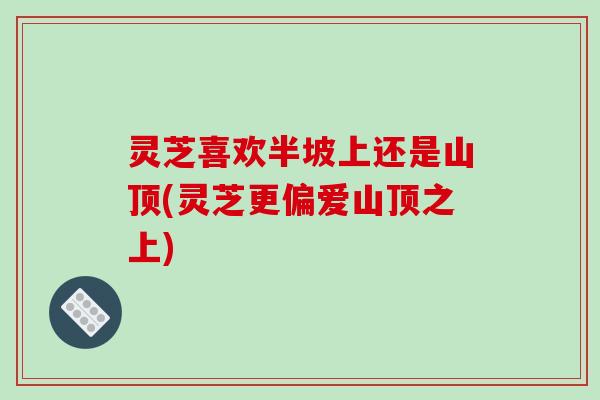 灵芝喜欢半坡上还是山顶(灵芝更偏爱山顶之上)-第1张图片-破壁灵芝孢子粉研究指南 灵芝喜欢半坡上还是山顶(灵芝更偏爱山顶之上)-第1张图片-破壁灵芝孢子粉研究指南