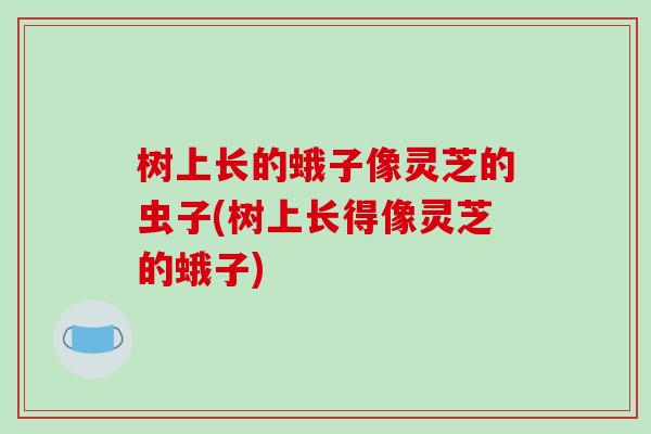 树上长的蛾子像灵芝的虫子(树上长得像灵芝的蛾子)-第1张图片-破壁灵芝孢子粉研究指南 树上长的蛾子像灵芝的虫子(树上长得像灵芝的蛾子)-第1张图片-破壁灵芝孢子粉研究指南