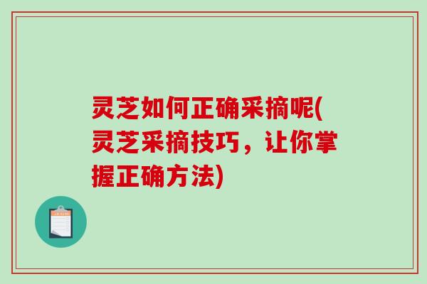 灵芝如何正确采摘呢(灵芝采摘技巧,让你掌握正确方法)-第1张图片-破壁灵芝孢子粉研究指南 灵芝如何正确采摘呢(灵芝采摘技巧,让你掌握正确方法)-第1张图片-破壁灵芝孢子粉研究指南