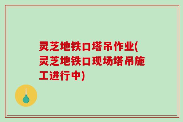 灵芝地铁口塔吊作业(灵芝地铁口现场塔吊施工进行中)-第1张图片-破壁灵芝孢子粉研究指南