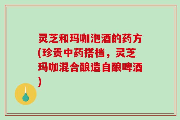 灵芝和玛咖泡酒的药方(珍贵中药搭档,灵芝玛咖混合酿造自酿啤酒)-第1张图片-破壁灵芝孢子粉研究指南 灵芝和玛咖泡酒的药方(珍贵中药搭档,灵芝玛咖混合酿造自酿啤酒)-第1张图片-破壁灵芝孢子粉研究指南