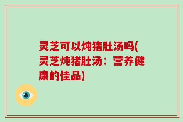 灵芝可以炖猪肚汤吗(灵芝炖猪肚汤：营养健康的佳品)-第1张图片-破壁灵芝孢子粉研究指南