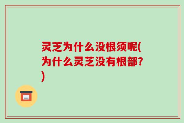 灵芝为什么没根须呢(为什么灵芝没有根部?)-第1张图片-破壁灵芝孢子粉研究指南 灵芝为什么没根须呢(为什么灵芝没有根部?)-第1张图片-破壁灵芝孢子粉研究指南