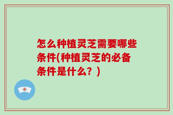 怎么种植灵芝需要哪些条件(种植灵芝的必备条件是什么?)-第1张图片-破壁灵芝孢子粉研究指南 怎么种植灵芝需要哪些条件(种植灵芝的必备条件是什么?)-第1张图片-破壁灵芝孢子粉研究指南