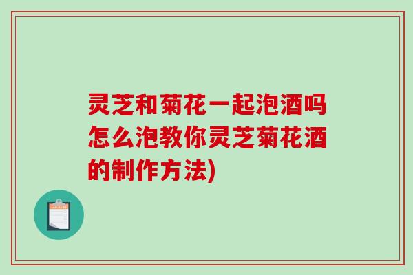灵芝和菊花一起泡酒吗怎么泡教你灵芝菊花酒的制作方法)-第1张图片-破壁灵芝孢子粉研究指南 灵芝和菊花一起泡酒吗怎么泡教你灵芝菊花酒的制作方法)-第1张图片-破壁灵芝孢子粉研究指南