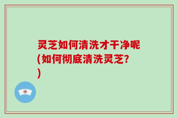 灵芝如何清洗才干净呢(如何彻底清洗灵芝？)-第1张图片-破壁灵芝孢子粉研究指南