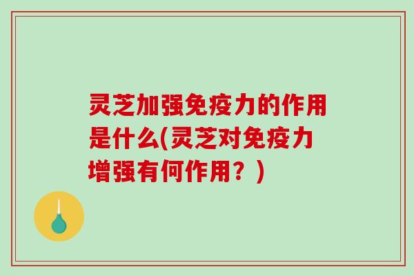 灵芝加强免疫力的作用是什么(灵芝对免疫力增强有何作用?)-第1张图片-破壁灵芝孢子粉研究指南 灵芝加强免疫力的作用是什么(灵芝对免疫力增强有何作用?)-第1张图片-破壁灵芝孢子粉研究指南