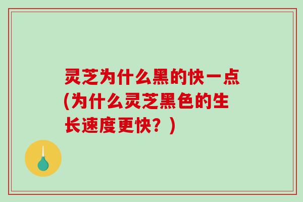 灵芝为什么黑的快一点(为什么灵芝黑色的生长速度更快?)-第1张图片-破壁灵芝孢子粉研究指南 灵芝为什么黑的快一点(为什么灵芝黑色的生长速度更快?)-第1张图片-破壁灵芝孢子粉研究指南