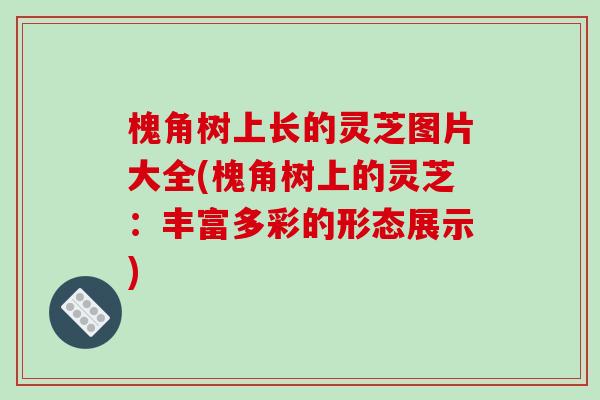 槐角树上长的灵芝图片大全(槐角树上的灵芝:丰富多彩的形态展示)-第1张图片-破壁灵芝孢子粉研究指南 槐角树上长的灵芝图片大全(槐角树上的灵芝:丰富多彩的形态展示)-第1张图片-破壁灵芝孢子粉研究指南