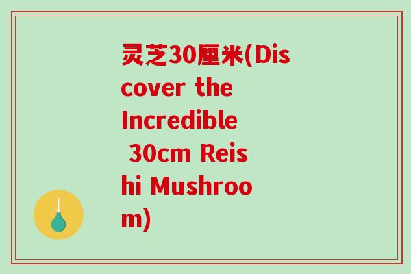 灵芝30厘米(Discover the Incredible 30cm Reishi Mushroom)-第1张图片-破壁灵芝孢子粉研究指南 灵芝30厘米(Discover the Incredible 30cm Reishi Mushroom)-第1张图片-破壁灵芝孢子粉研究指南