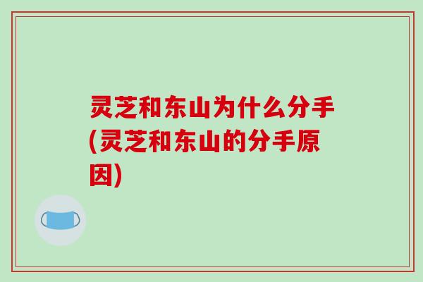 灵芝和东山为什么分手(灵芝和东山的分手原因)-第1张图片-破壁灵芝孢子粉研究指南 灵芝和东山为什么分手(灵芝和东山的分手原因)-第1张图片-破壁灵芝孢子粉研究指南