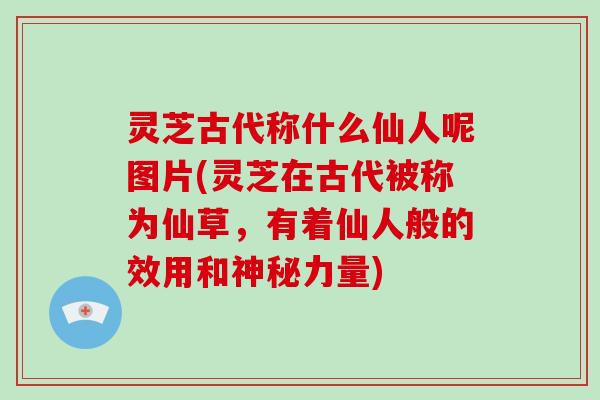 灵芝古代称什么仙人呢图片(灵芝在古代被称为仙草,有着仙人般的效用和神秘力量)-第1张图片-破壁灵芝孢子粉研究指南 灵芝古代称什么仙人呢图片(灵芝在古代被称为仙草,有着仙人般的效用和神秘力量)-第1张图片-破壁灵芝孢子粉研究指南