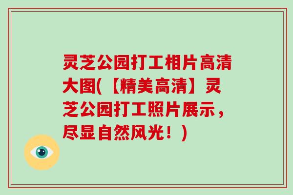 灵芝公园打工相片高清大图(【精美高清】灵芝公园打工照片展示，尽显自然风光！)-第1张图片-破壁灵芝孢子粉研究指南